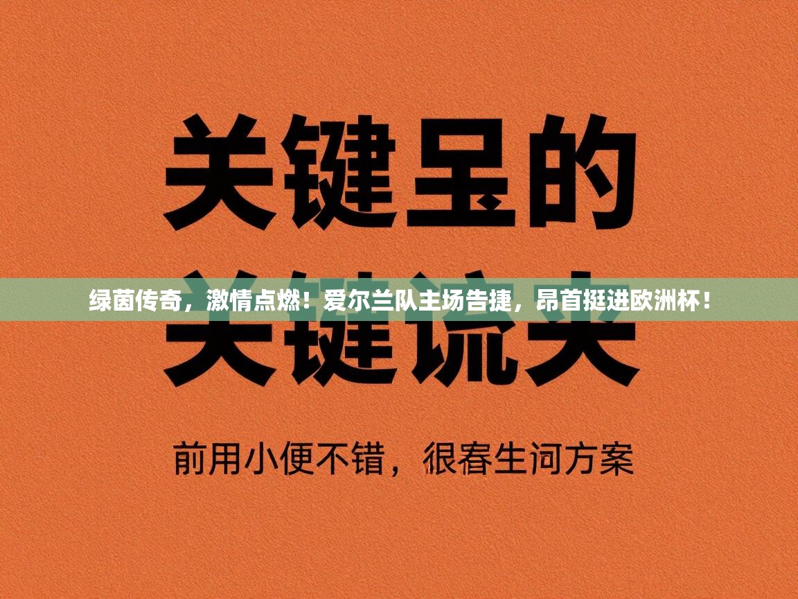 绿茵传奇,激情点燃!爱尔兰队主场告捷,昂首挺进欧洲杯! 第1张