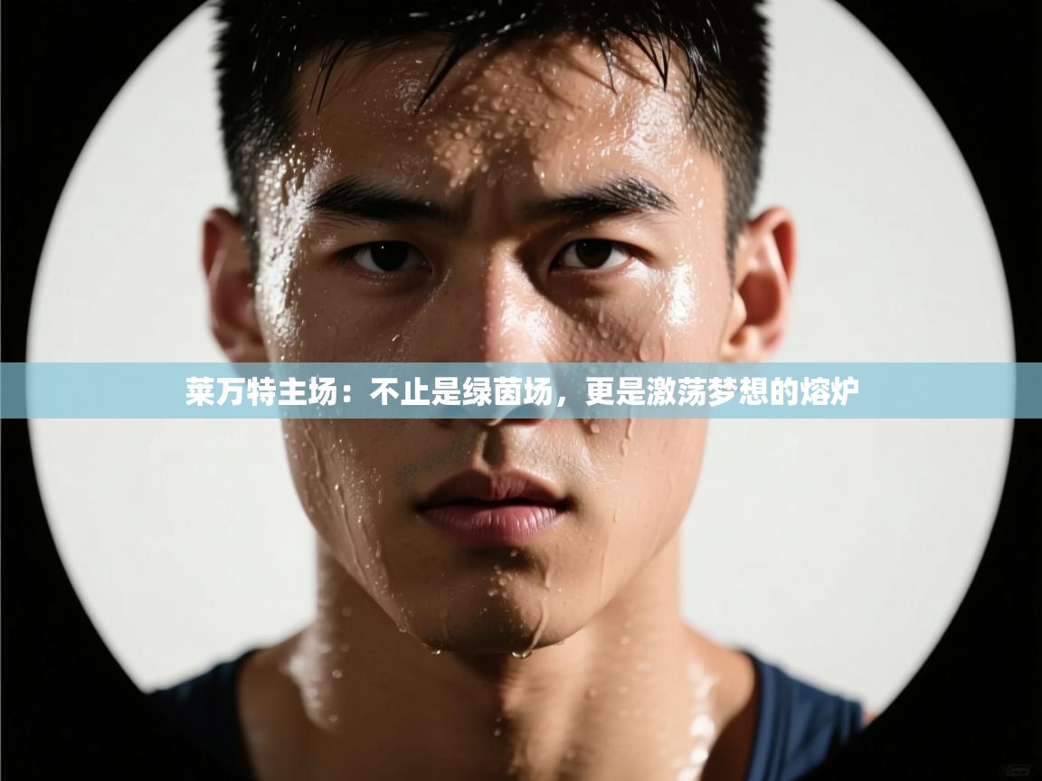 莱万特主场：不止是绿茵场，更是激荡梦想的熔炉  第1张