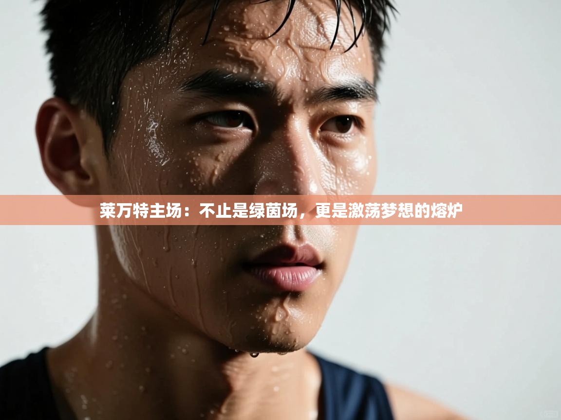 莱万特主场：不止是绿茵场，更是激荡梦想的熔炉  第2张